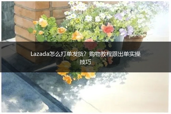 Lazada怎么打单发货？购物教程跟出单实操技巧