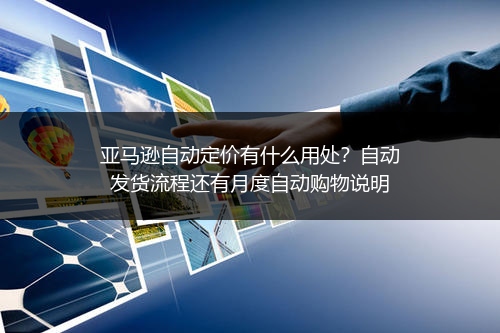 亚马逊自动定价有什么用处？自动发货流程还有月度自动购物说明