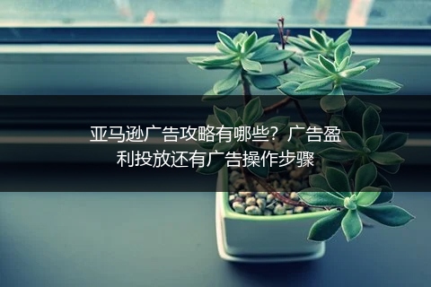 亚马逊广告攻略有哪些？广告盈利投放还有广告操作步骤
