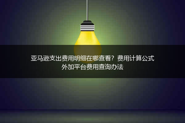 亚马逊支出费用明细在哪查看？费用计算公式外加平台费用查询办法