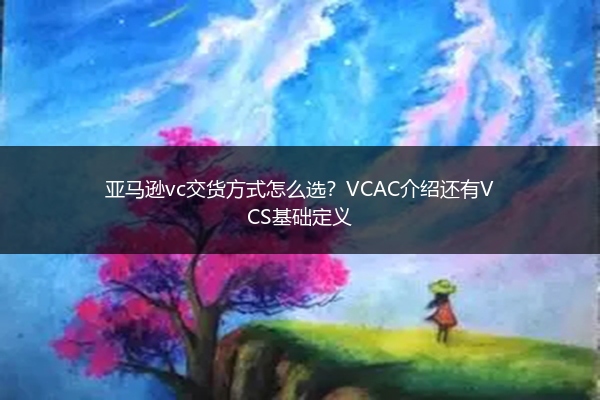 亚马逊vc交货方式怎么选？VCAC介绍还有VCS基础定义