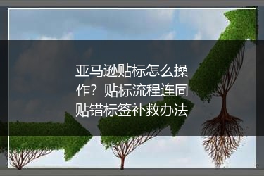 亚马逊贴标怎么操作？贴标流程连同贴错标签补救办法