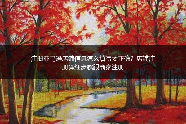 注册亚马逊店铺信息怎么填写才正确？店铺注册详细步骤跟商家注册